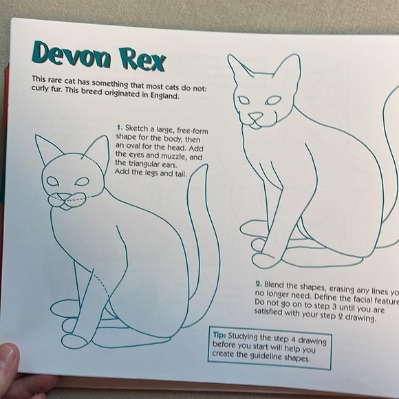 🌈2/$8  The Big Book of Drawing Dogs and Cats - Picture 10 of 12